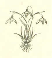 An illustration from English Lyrics. A collection of English poetry of the present day. Arranged by ... R. H. Baynes (1865)