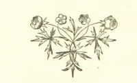 An illustration from English Lyrics. A collection of English poetry of the present day. Arranged by ... R. H. Baynes (1865)