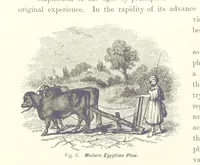 An illustration from Gately's World's Progress. A general history of the earth's construction and of the advancement of mankind ... Edited by C. E. Beale. Édition de luxe (1886)
