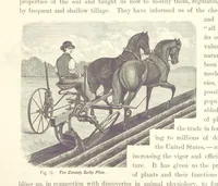 An illustration from Gately's World's Progress. A general history of the earth's construction and of the advancement of mankind ... Edited by C. E. Beale. Édition de luxe (1886)
