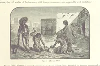 An illustration from Gately's World's Progress. A general history of the earth's construction and of the advancement of mankind ... Edited by C. E. Beale. Édition de luxe (1886)