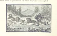 An illustration from Gately's World's Progress. A general history of the earth's construction and of the advancement of mankind ... Edited by C. E. Beale. Édition de luxe (1886)