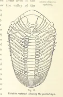 An illustration from Gately's World's Progress. A general history of the earth's construction and of the advancement of mankind ... Edited by C. E. Beale. Édition de luxe (1886)