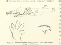 An illustration from Gately's World's Progress. A general history of the earth's construction and of the advancement of mankind ... Edited by C. E. Beale. Édition de luxe (1886)