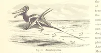 An illustration from Gately's World's Progress. A general history of the earth's construction and of the advancement of mankind ... Edited by C. E. Beale. Édition de luxe (1886)