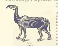 An illustration from Gately's World's Progress. A general history of the earth's construction and of the advancement of mankind ... Edited by C. E. Beale. Édition de luxe (1886)