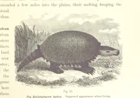 An illustration from Gately's World's Progress. A general history of the earth's construction and of the advancement of mankind ... Edited by C. E. Beale. Édition de luxe (1886)