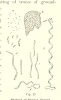 An illustration from Gately's World's Progress. A general history of the earth's construction and of the advancement of mankind ... Edited by C. E. Beale. Édition de luxe (1886)