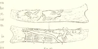An illustration from Gately's World's Progress. A general history of the earth's construction and of the advancement of mankind ... Edited by C. E. Beale. Édition de luxe (1886)