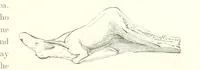 An illustration from Gately's World's Progress. A general history of the earth's construction and of the advancement of mankind ... Edited by C. E. Beale. Édition de luxe (1886)
