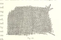 An illustration from Gately's World's Progress. A general history of the earth's construction and of the advancement of mankind ... Edited by C. E. Beale. Édition de luxe (1886)