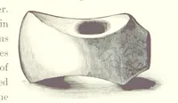 An illustration from Gately's World's Progress. A general history of the earth's construction and of the advancement of mankind ... Edited by C. E. Beale. Édition de luxe (1886)