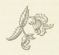 An illustration from The White Wife; with other stories, supernatural, romantic and legendary; collected and illustrated by Cuthbert Bede (1865)