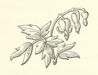 An illustration from The White Wife; with other stories, supernatural, romantic and legendary; collected and illustrated by Cuthbert Bede (1865)