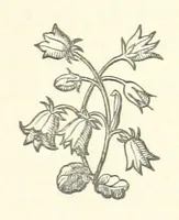 An illustration from The White Wife; with other stories, supernatural, romantic and legendary; collected and illustrated by Cuthbert Bede (1865)