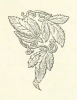 An illustration from The White Wife; with other stories, supernatural, romantic and legendary; collected and illustrated by Cuthbert Bede (1865)