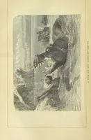 An illustration from Beeton's Brave Tales, Bold Ballads, and Travels and Perils by Land and Sea. Illustrated ... Edited by S. O. Beeton (1872)