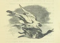 An illustration from Beeton's Brave Tales, Bold Ballads, and Travels and Perils by Land and Sea. Illustrated ... Edited by S. O. Beeton (1872)