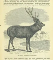 An illustration from Beeton's Brave Tales, Bold Ballads, and Travels and Perils by Land and Sea. Illustrated ... Edited by S. O. Beeton (1872)