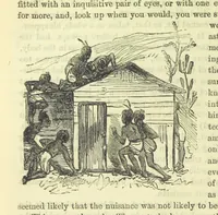 An illustration from Beeton's Brave Tales, Bold Ballads, and Travels and Perils by Land and Sea. Illustrated ... Edited by S. O. Beeton (1872)