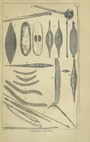 An illustration from Beeton's Brave Tales, Bold Ballads, and Travels and Perils by Land and Sea. Illustrated ... Edited by S. O. Beeton (1872)