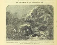 An illustration from Beeton's Brave Tales, Bold Ballads, and Travels and Perils by Land and Sea. Illustrated ... Edited by S. O. Beeton (1872)