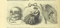 Picture 238 of 273 from Beeton's Brave Tales, Bold Ballads, and Travels and Perils by Land and Sea. Illustrated ... Edited by S. O. Beeton (1872), leaf 966