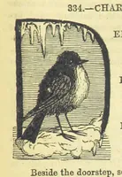 Picture 211 of 233 from Beeton's Historical Romances, Daring Deeds, and Animal Stories. Illustrated, etc (1871), leaf 1045