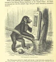 Picture 229 of 233 from Beeton's Historical Romances, Daring Deeds, and Animal Stories. Illustrated, etc (1871), leaf 1158