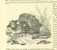 Picture 22 of 233 from Beeton's Historical Romances, Daring Deeds, and Animal Stories. Illustrated, etc (1871), leaf 150