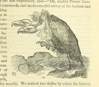 An illustration from Beeton's Historical Romances, Daring Deeds, and Animal Stories. Illustrated, etc (1871)