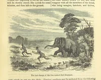 An illustration from Beeton's Historical Romances, Daring Deeds, and Animal Stories. Illustrated, etc (1871)