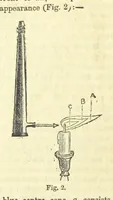 An illustration from Beeton's Historical Romances, Daring Deeds, and Animal Stories. Illustrated, etc (1871)