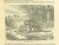 An illustration from Beeton's Historical Romances, Daring Deeds, and Animal Stories. Illustrated, etc (1871)
