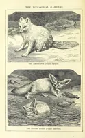 An illustration from Beeton's Historical Romances, Daring Deeds, and Animal Stories. Illustrated, etc (1871)