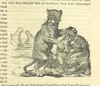 An illustration from Beeton's Historical Romances, Daring Deeds, and Animal Stories. Illustrated, etc (1871)