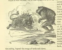 An illustration from Beeton's Historical Romances, Daring Deeds, and Animal Stories. Illustrated, etc (1871)