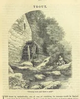 Picture 58 of 233 from Beeton's Historical Romances, Daring Deeds, and Animal Stories. Illustrated, etc (1871), leaf 321