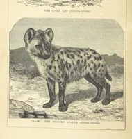 Picture 5 of 233 from Beeton's Historical Romances, Daring Deeds, and Animal Stories. Illustrated, etc (1871), leaf 34