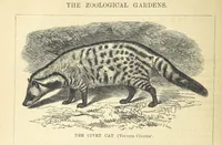 An illustration from Beeton's Historical Romances, Daring Deeds, and Animal Stories. Illustrated, etc (1871)