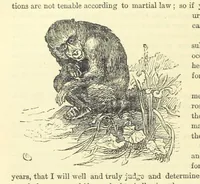 An illustration from Beeton's Historical Romances, Daring Deeds, and Animal Stories. Illustrated, etc (1871)