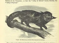 Picture 9 of 233 from Beeton's Historical Romances, Daring Deeds, and Animal Stories. Illustrated, etc (1871), leaf 42