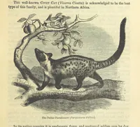 Picture 10 of 233 from Beeton's Historical Romances, Daring Deeds, and Animal Stories. Illustrated, etc (1871), leaf 43