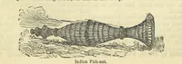 Picture 80 of 233 from Beeton's Historical Romances, Daring Deeds, and Animal Stories. Illustrated, etc (1871), leaf 431