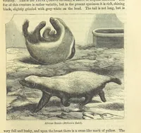 An illustration from Beeton's Historical Romances, Daring Deeds, and Animal Stories. Illustrated, etc (1871)