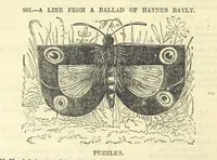 Picture 92 of 233 from Beeton's Historical Romances, Daring Deeds, and Animal Stories. Illustrated, etc (1871), leaf 506