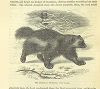 An illustration from Beeton's Historical Romances, Daring Deeds, and Animal Stories. Illustrated, etc (1871)