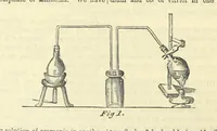 An illustration from Beeton's Historical Romances, Daring Deeds, and Animal Stories. Illustrated, etc (1871)