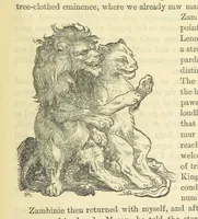 Picture 100 of 233 from Beeton's Historical Romances, Daring Deeds, and Animal Stories. Illustrated, etc (1871), leaf 529