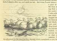 Picture 101 of 233 from Beeton's Historical Romances, Daring Deeds, and Animal Stories. Illustrated, etc (1871), leaf 533